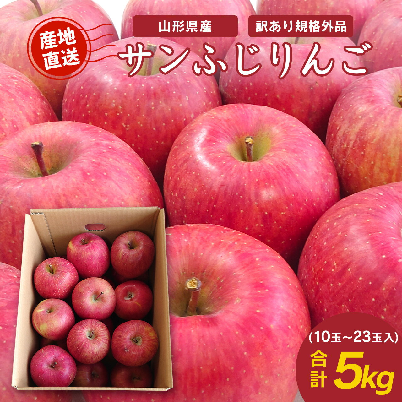 【ふるさと納税】《先行予約》令和8年産 【ご家庭用】りんご サンふじ 5kg （10玉 - 23玉）山形県産 【2026年11月下旬頃から順次発送予定】 2026年産 山形産 りんご 訳あり 5キロ フルーツ 果物 くだもの 山形県産 農家直送 数量限定 送料無料 山形