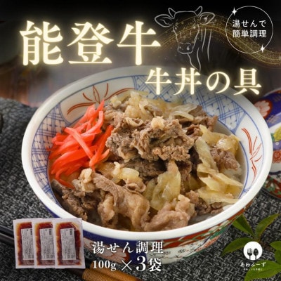 【湯せんで手早く】能登牛 牛丼の具100g×3袋【配送不可地域：離島】