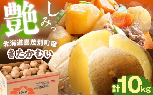 【2027年1月上旬以降順次発送】じゃがいも きたかむい 10kg 《喜茂別町》【Aコープようてい】 じゃがいも いも 芋 ジャガイモ イモ 野菜 北海道 ポテト 国産 産地直送 旬 お取り寄せ 常温 [AJAK012]