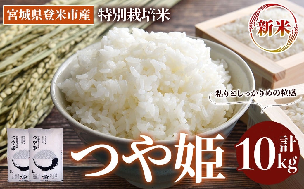 
            ≪令和7年産 新米≫ 特別栽培米 つや姫 10kg (5kg×2袋)  登米市産 お米 おこめ 米 コメ 白米 ご飯 ごはん おにぎり お弁当 【登米ライスサービス株式会社】tm155
          