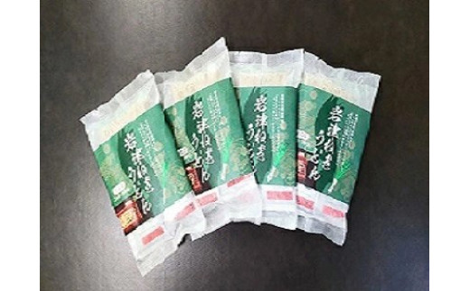 半生 岩津ねぎうどん8人前（2人前×4袋） うどん 岩津ねぎ 香り豊か ねぎ感しっかり 程よいコシ つるつる食感 小麦と岩津ねぎの甘み・旨味をお楽しみください 本格うどん やくの麺業