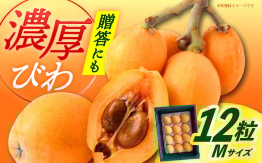 【先行予約】【2026年6月発送】長崎県産 びわ Mサイズ 12粒（化粧箱入） / ビワ 枇杷 果物 フルーツ びわ 長崎 贈答【神川農園】 [DBT005] 1万円 以上