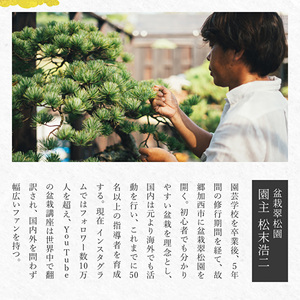 盆栽 翠松園 商品クーポン券 60,000円分 植物 観葉植物 園芸 商品券 兵庫県