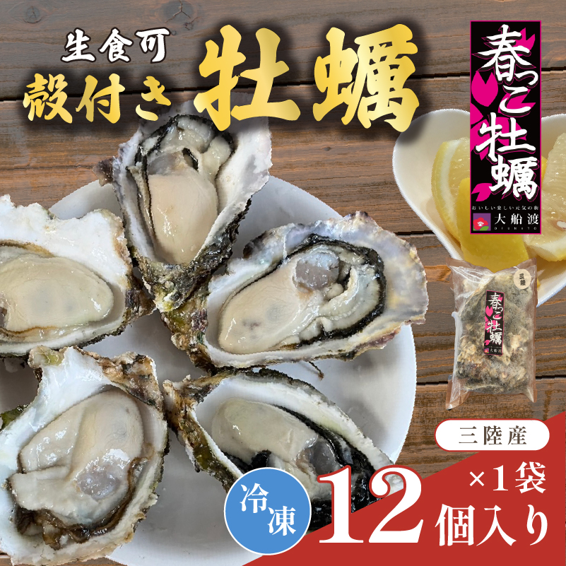 生食可 冷凍 牡蠣 殻付き牡蠣 春っこ 牡蠣 1袋 ( 12個入り )  数量限定