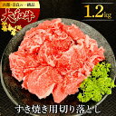 【ふるさと納税】 大和牛 すき焼き・しゃぶしゃぶ用切り落とし 1.2kg (1200g) 肉の河内屋 奈良県 奈良市 奈良 なら