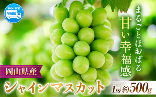 【2025年先行予約】岡山県産 シャインマスカット  約500g ( 1房 )  クール便 晴れの国 おかやま館(フルーツランド岡山) 《2025年8月下旬-10月中旬頃出荷》岡山県 浅口市【配送不可地域あり】（離島）