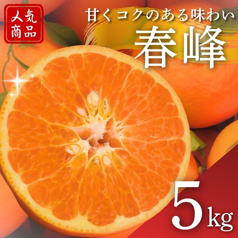 【ふるさと納税】 【2027年分先行予約】春峰 5kg ※2027年3月上旬～順次発送予定【期間限定・数量限定】 / みかん 蜜柑 5キロ しゅんぽう お取り寄せ 産地直送 贈答品 ギフト 果物 くだもの フルーツ 田辺市 和歌山県