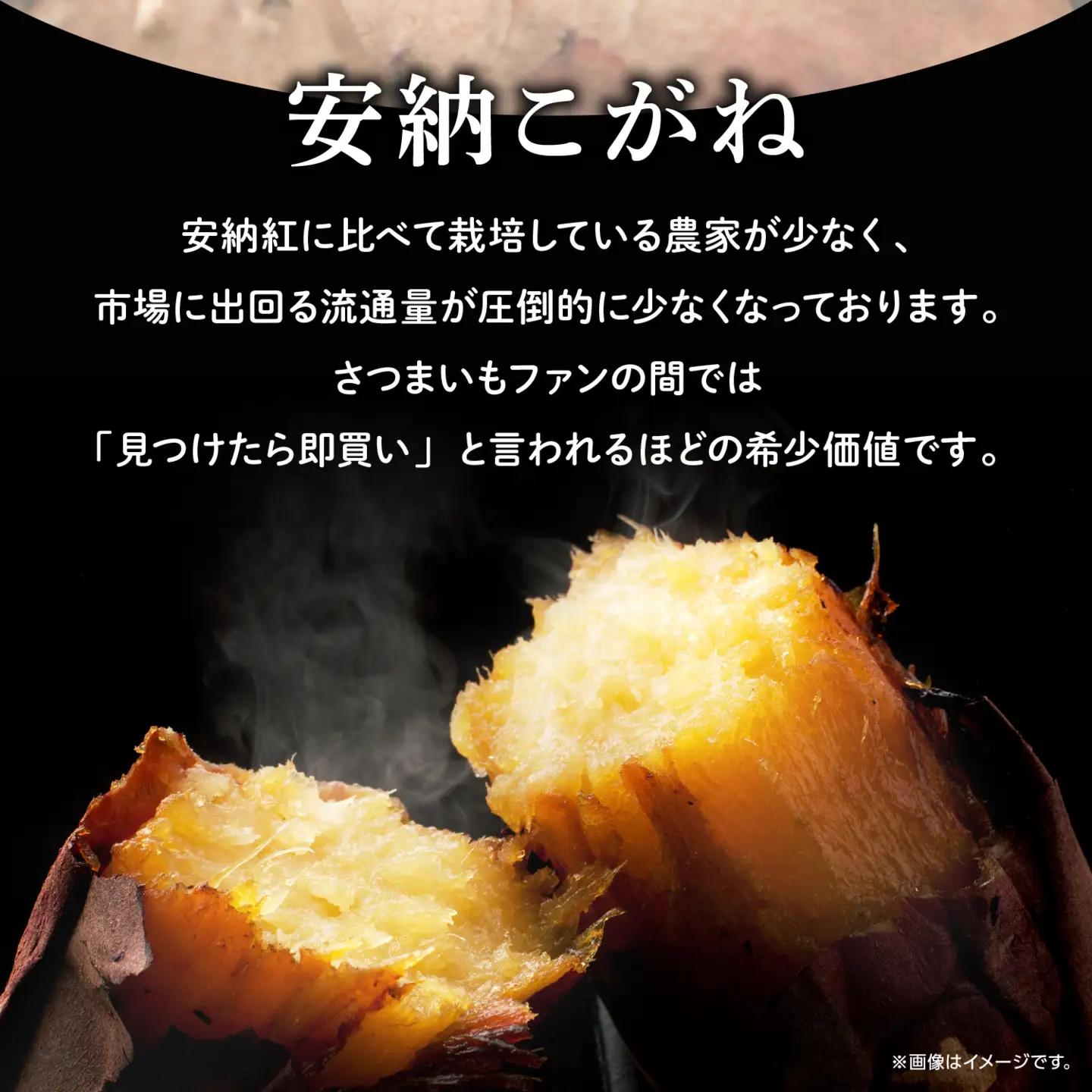 冷凍焼き芋（安納こがね）約２kg【南種子町観光物産館 トンミー市場】