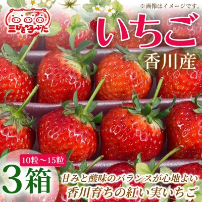 
                  ＜甘酸バランス抜群＞香川産特選大粒いちごで春の味覚を満喫　いちご(10粒～15粒)3箱【1727328】
                