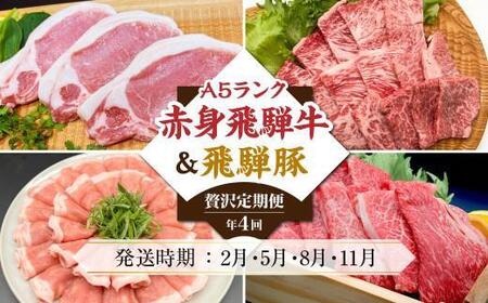 定期便 4回 A5 飛騨牛 ＆ アルプス育ちの 飛騨豚 (すき焼き 焼肉 とんかつ しゃぶしゃぶ )  定期便 HF107