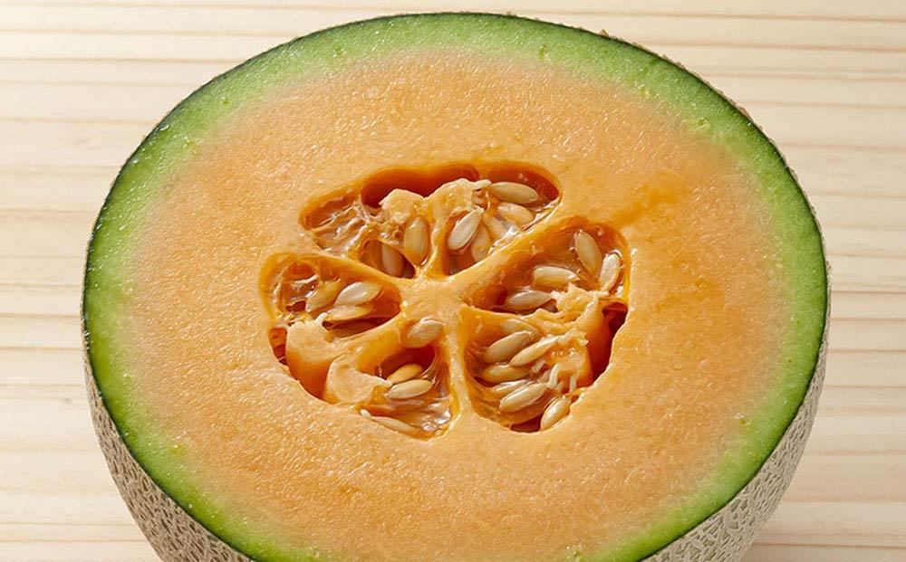 【26年発送先行予約】北海道産赤肉メロン　3玉入り　合計4.8kg前後（2026年7月中旬から発送開始予定）【 果物 くだもの フルーツ メロン 赤肉 赤肉メロン 旬 お取り寄せ 甘い 北海道産 旭川