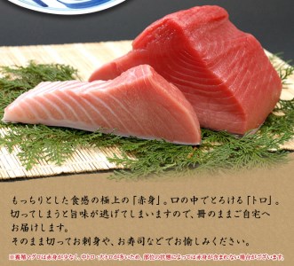 本マグロ（養殖）トロ＆赤身セット 500g 【11月発送】 高級 クロマグロ  中トロ 中とろ  まぐろ マグロ 鮪 刺身 赤身 柵 じゃばらまぐろ 本マグロ 本鮪【nks110D-11】