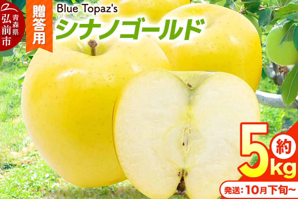 【26年10月下旬〜発送】りんご シナノゴールド【贈答用】約5kg 青森県 弘前市 [先行予約 アップル おいしい ふじ りんご 果実 果物 黄色 津軽 糖度 美味 林檎]