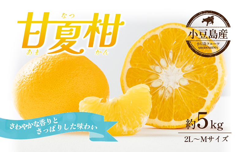 甘夏柑 甘夏 あまなつ 柑橘 小豆島 香川県産 瀬戸内 約5kg 2L～Mサイズ さっぱり 酸味 甘さ 香り ほろ苦 みかん 蜜柑 ミカン 柑橘類 果物 フルーツ くだもの 果物類 果実 生鮮 マーマレード デザート ギフト 贈答用 五色青果 香川 土庄 香川県 土庄町