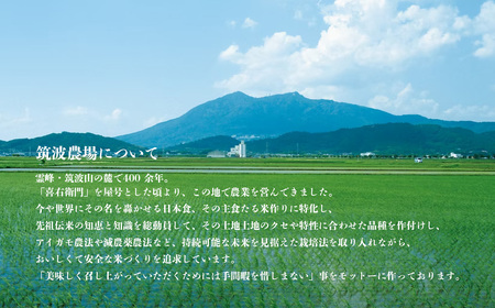 常陸小田米 10kg 茨城県つくば市産コシヒカリ【 茨城県 つくば市 コメ こめ 米 お米 ごはん コメ コシヒカリ コメ 地域ブランド米 農産物 グルメ コメ 精米 お取寄せ 米 米 米 】