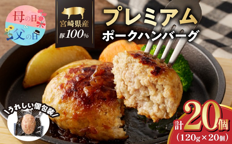 
                  【選べる発送時期】宮崎県産豚プレミアムハンバーグ(計20個) 母の日 父の日 肉 豚肉 加工品 惣菜 国産_T001-0125-o
                