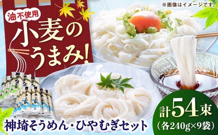 
                  神埼そうめん・ひやむぎセット / 佐賀県 /神埼そうめん協同組合  [41AJAD001]
                