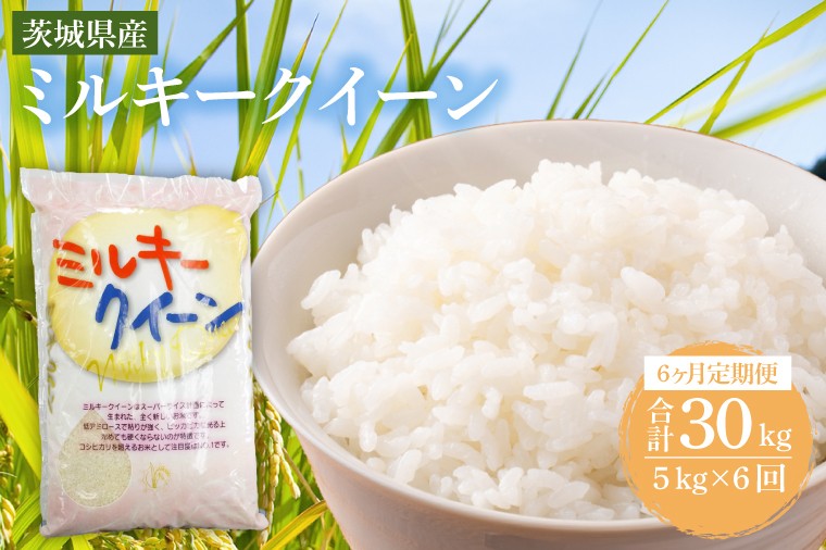 
                  【6ヶ月定期便】 茨城県産ミルキークイーン 5kg (5kg×1袋) 【米 お米 白米 精米  おにぎり 茨城県産 鹿嶋市 国産 送料無料】 (KY-25)
                