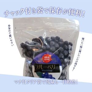 【ふるさと納税】＜ブルーベリー 冷凍　1kg＞ フルーツ くだもの 高知県 佐川町 果物 島崎商事【冷凍】冷凍ブルーベリー 常備果物＜4～6ヶ月程度で発送＞