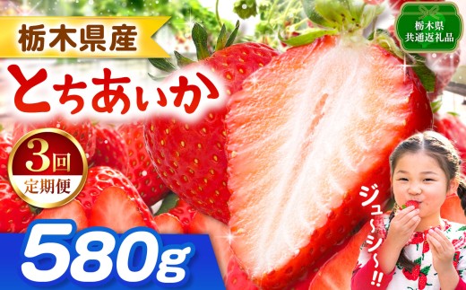 【栃木県共通返礼品】【先行予約】【定期3回】とちあいか 580g | 果物 くだもの フルーツ 野菜 やさい ヤサイ 苺 イチゴ いちご とちあいか 新鮮 甘い 数量 限定 美味しい 果物 共通返礼品 フルーツ デザート 栃木県 那珂川町 送料無料