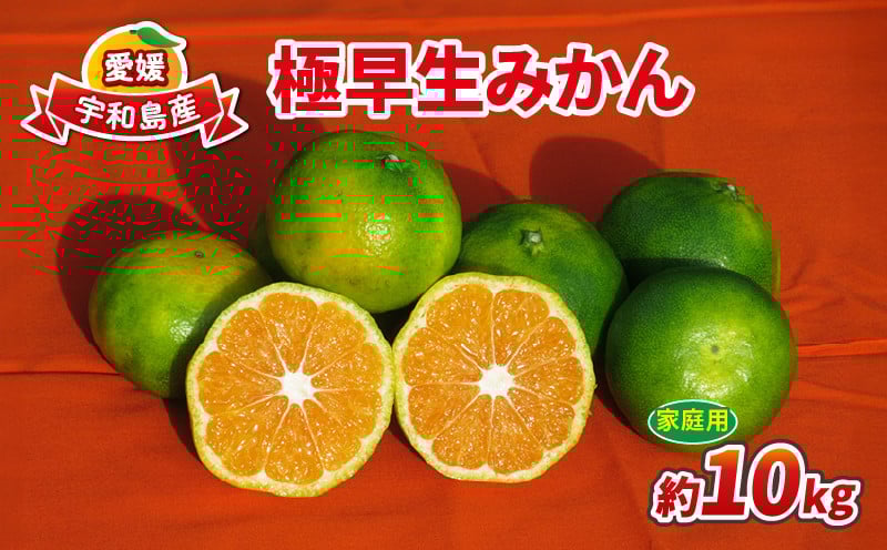 
            みかん 極早生みかん 家庭用 10kg 先行予約 ワールドファーマーズ 温州みかん 温州 極早生 早みかん 緑みかん 吉田みかん 愛媛みかん 愛媛ミカン 愛媛蜜柑 愛媛県産みかん 果物 くだもの フルーツ 柑橘 蜜柑 温州 先行予約 農家直送 数量限定 国産 愛媛 宇和島 B010-024015
          
