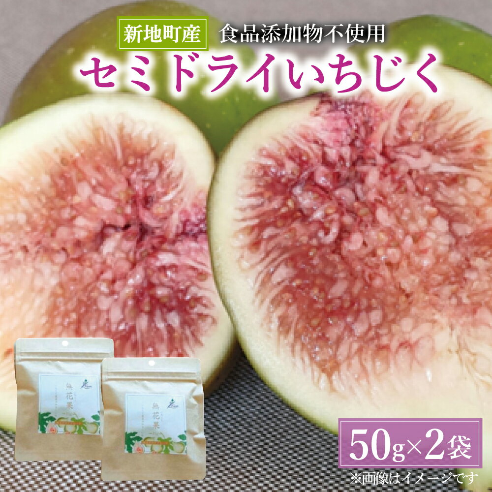 【ふるさと納税】いちじく セミドライフルーツ 50g×2袋 国産 添加物不使用 加工品 おやつ ドライフルーツ 柔らか｜美容 スイーツ しっとり 持ち運び