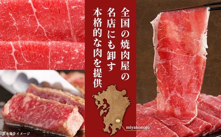 【年内お届け】【黒毛和牛】赤身すき焼き1kg(500g×2パック)≪2025年12月15日～31日お届け≫_MJ-I902-HNY_(都城市) 国産黒毛和牛 赤身 ウデまたはモモまたはロース すき焼き