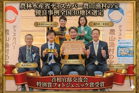 【環境大臣賞受賞】【特別賞受賞】阿賀野市産 天然 はちみつ 2本セット HACHIBEI 八米  ハチミツ 蜂蜜 ナッツ はちみつ漬け 桜 さくらの丘 春の息吹 アカシア ナッツスター エレガント プ