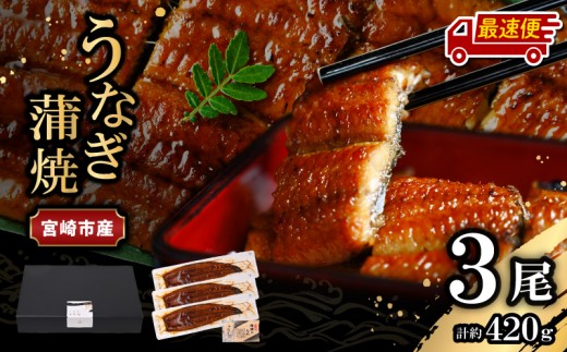 【最速便】【日時指定可能】宮崎県宮崎市産　うなぎの蒲焼　約420g（約140g×3尾）タレ・山椒セット_M325-003-2W