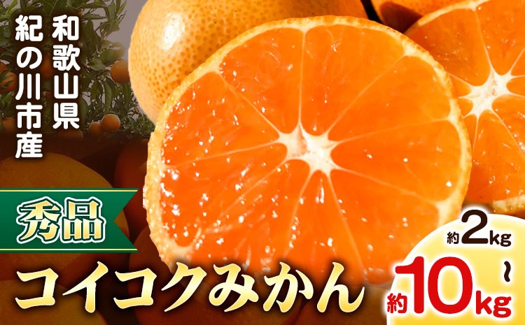 
            【秀品】冬のみかん コイコク（恋い告）選べる 内容量 約2kg 約3kg 約5kg 約10kg※重量には箱の重量も含まれております※ 黒潮フルーツファーム《2025年11月下旬-12月下旬頃出荷》和歌山県 紀の川市 みかん ミカン 果物 フルーツ 柑橘
          