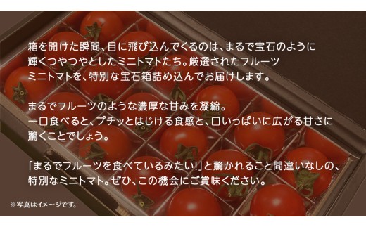 フルーツ ミニトマト の宝石箱 18粒 (茨城県共通返礼品：大子町) 野菜 フルーツ 旬 季節限定 期間限定