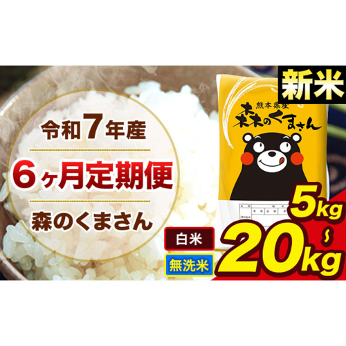 【6ヶ月定期便】 米 無洗米 白米 新米 令和7年産 特A受賞品種 森のくまさん 送料無料 米 内容量 5kg 10kg 15kg 20kg  熊本県産(長洲町産含む) お米 《お申し込み月の翌月から出荷開始》長洲町 ふるさとのうぜい