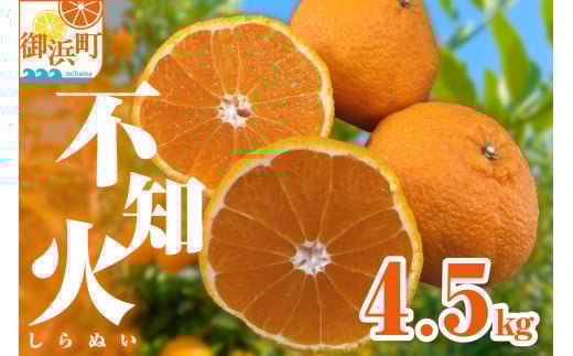 【2026年発送 先行予約品】濃密な甘酸っぱさ！ミカファームの不知火4.5キロ【数量限定 果物 フルーツ みかん 不知火 しらぬい デザート 4.5kg 三重県 御浜町】