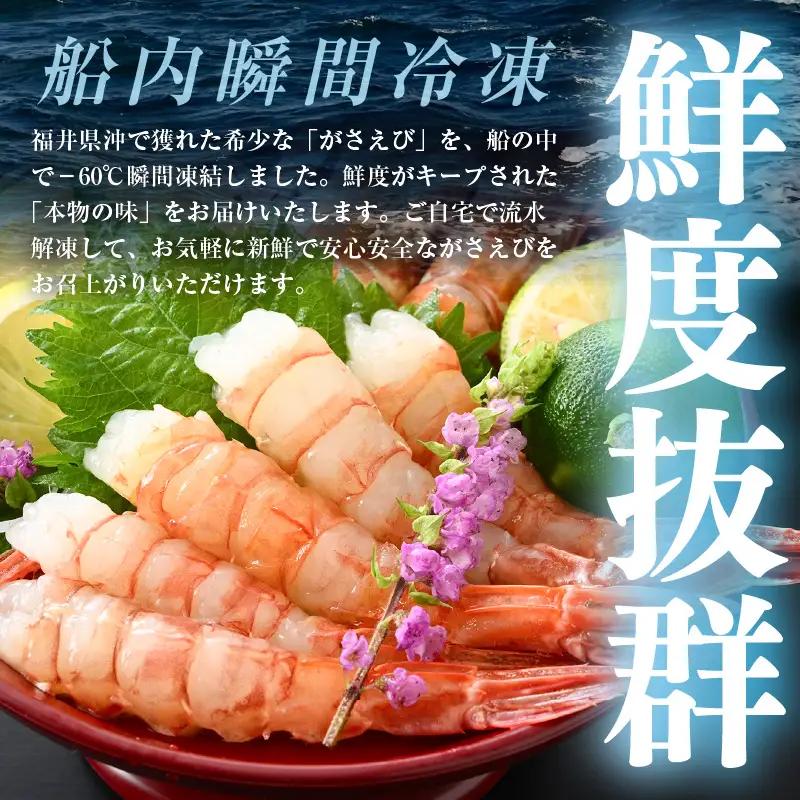 【発泡箱入り】がさえび 約600g エビ 冷凍 [A-23114]