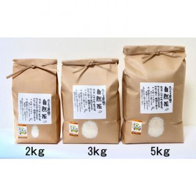 ふるさと納税 小郡市 定期便 12ヶ月 米 たごもり農園の自然米 ヒノヒカリ 玄米 2kg お米[No5354-2131] |  | 03