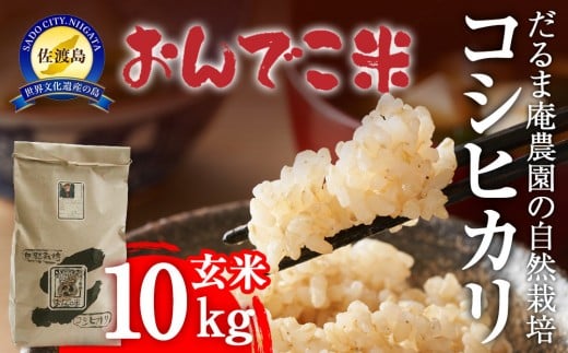 【令和7年産】だるま庵農園の自然栽培コシヒカリ玄米10キロ【2025年10月中旬より順次発送】