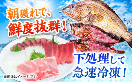 漁師の極み刺身パック（匠）1皿 五島市/Sun Sea Go Company 魚 おまかせ お任せ 鮮魚 五島列島[PGL021]