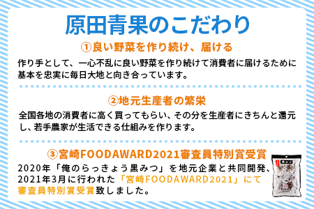 ＜宝石らっきょうボトル（250g）&4種アソートの詰め替え（200g）セット＞【MI210-hd】【原田青果】