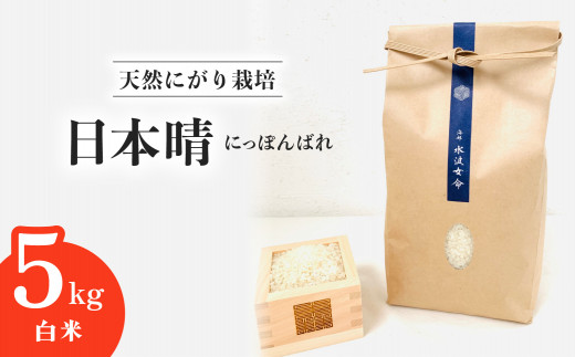 【先行予約】日本晴 白米 5kg 天然にがり栽培 にっぽんばれ 希少 品種 お寿司 ピラフ チャーハン【2025年9月以降発送】