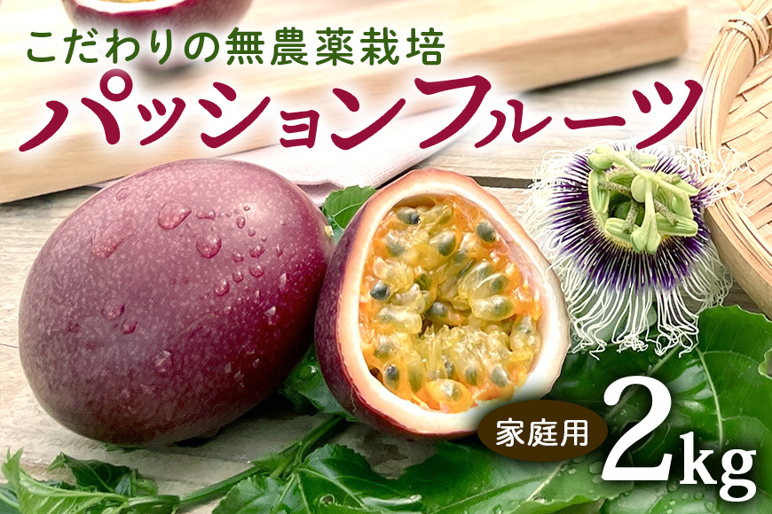 
                  【 先行予約 2027年 発送 】こだわりの無農薬栽培 パッションフルーツ 2kg ＜ご家庭用＞ 果物 フルーツ くだもの 2キロ 沖縄 果実 南国フルーツ 沖縄県産 美味しい 甘い あまい 甘み 酸味 爽やか 産地直送 農家直送 産直 家庭用 沖縄県 糸満市
                