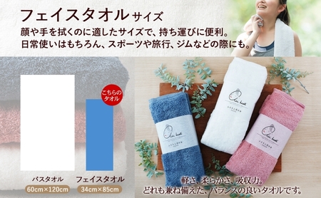 【選べる熨斗】タオル エアーかおる ダディボーイ フェイスタオル マウンテンブルー 2枚 セット 34×85cm 日本製 綿100％ 柔らか 軽い スーパーZERO 吸水速乾 送料無料 浅野撚糸 岐阜