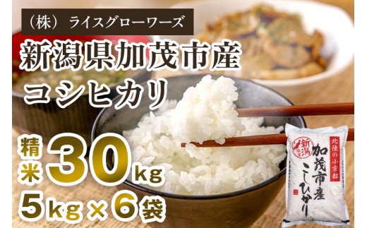 【令和7年産】新潟県加茂市産コシヒカリ 精米30kg（5kg×6）《順次出荷 》 新潟県産コシヒカリ 新潟産コシヒカリ 新潟コシヒカリ 新潟県産こしひかり 新潟産こしひかり 新潟こしひかり コシヒカリ こしひかり お米 白米 米  （株）ライスグローワーズ