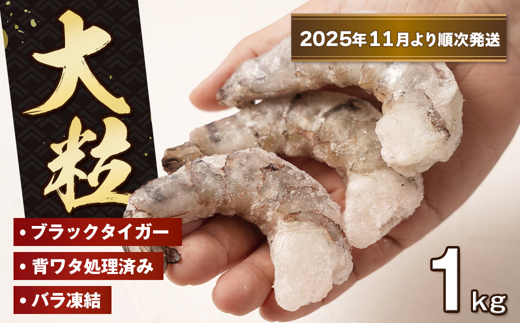 至福の大粒むきえび　背ワタ処理済 1kg【2025年11月より順次発送】　　[むきえび 冷凍 ムキエビ ブラックタイガー 大型 むきえび]