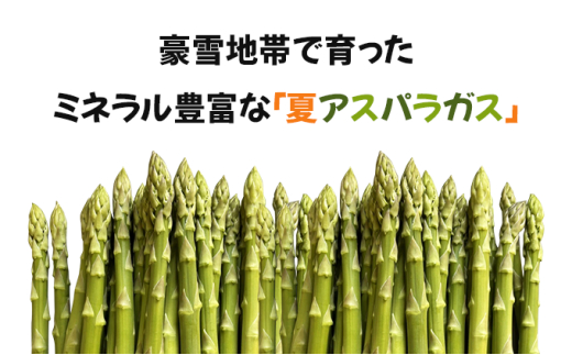 【先行予約／令和8年産】北海道岩見沢産 夏グリーンアスパラ L～2Lサイズ 1kg【41104】