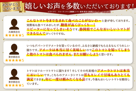 a10-371　アメーラ トマト 高糖度 トマト 産地 直送 化粧箱入