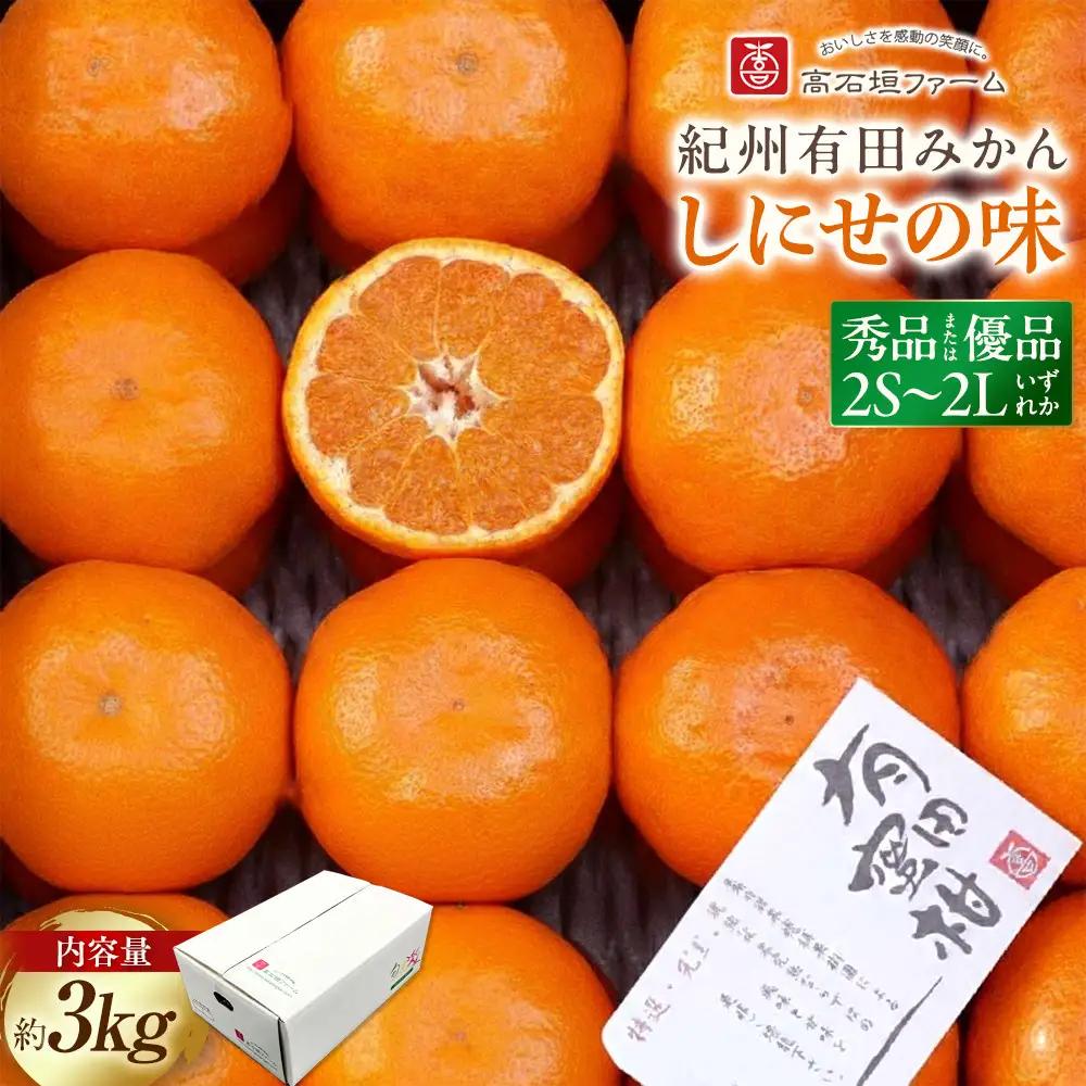 有田みかん 約3kg みかん 2S～2Lのいずれか 秀品または優品 しにせの味