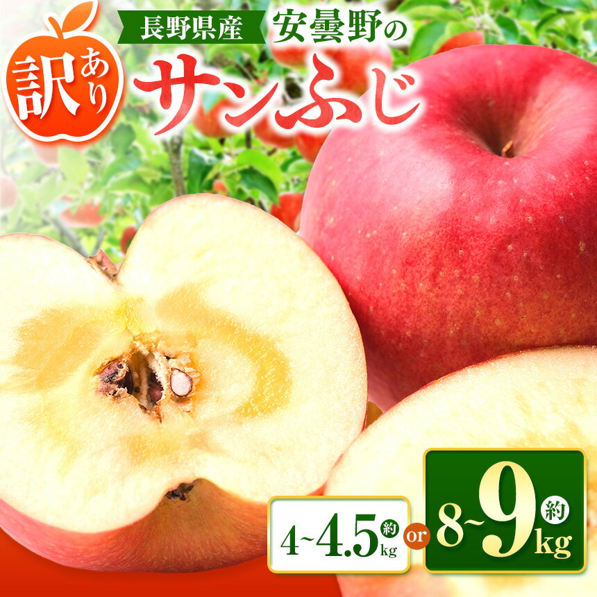 【ふるさと納税】*【2025年先行予約】訳あり サンふじ 選べる容量 約4～4.5kg / 約8～9kg ｜ 東印平林農園 リンゴ りんご 林檎 果物 フルーツ 果実 果汁 サンふじ さんふじ わけあり 訳アリ 長野県 松川村 信州 安曇野