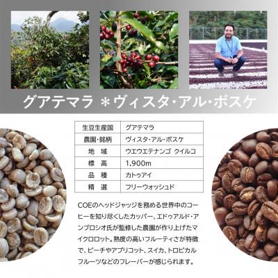 ふるさと納税 上毛町 風味際立つ手鍋焙煎コーヒー豆(中米編) 200g×2袋 |  | 01