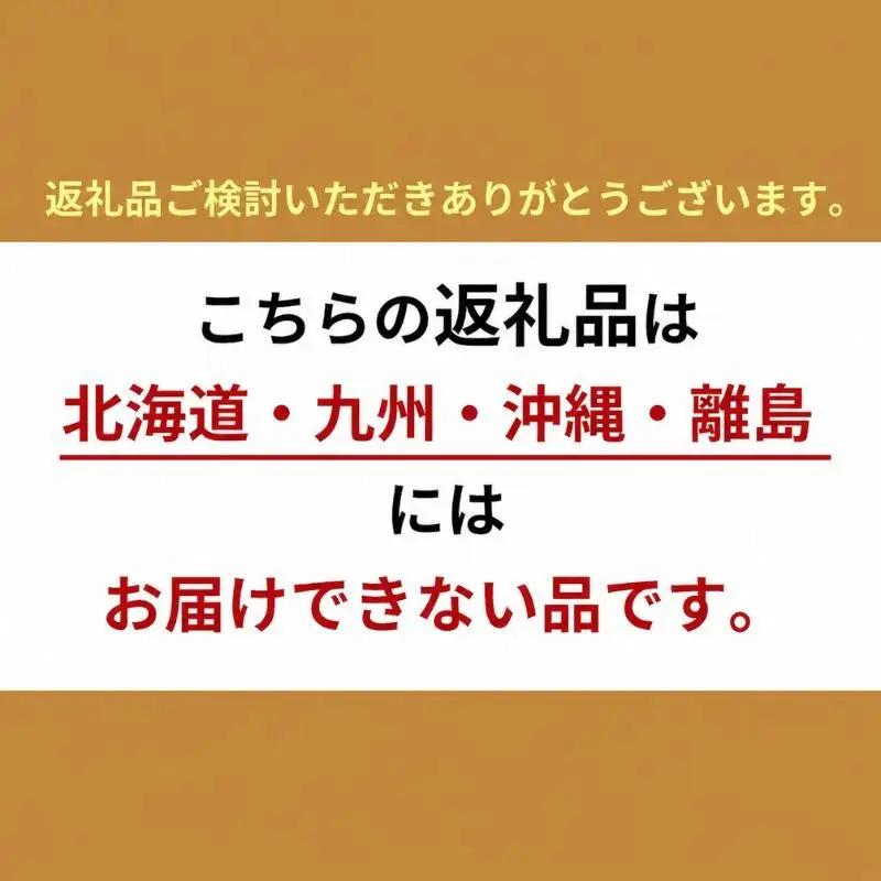野菜 とれたて パック 定期便 4回 季節の野菜 8品 野菜
