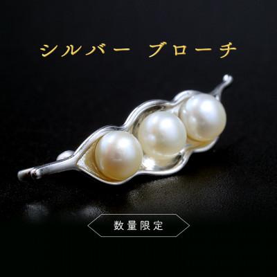 ふるさと納税 牛久市 【数量限定】シルバーブローチ | 